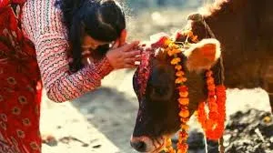 देश के इस राज्य ने गाय को घोषित किया राज्यमाता, सरकार ने जारी किया आदेश