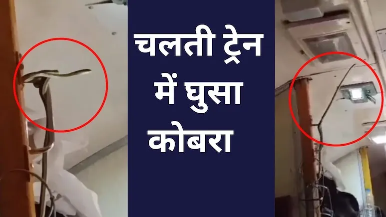 चलती ट्रेन में अचानक फुफकारने लगा कोबरा, नजर पड़ते ही गाड़ी में मच गई अफरातफरी, वीडियो में देखें पूरा मंजर
