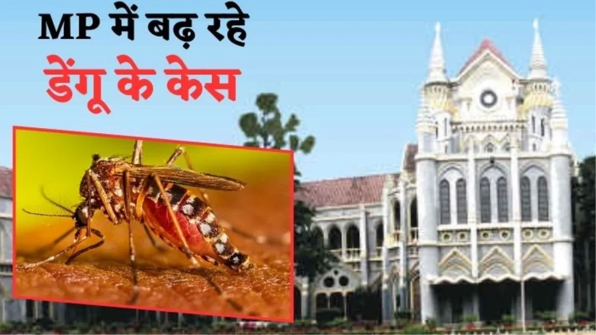 डेंगू के प्रकोप से ग्वालियर में हाहाकार, अवमानना याचिका पर हाईकोर्ट ने आला अधिकारियों से मांगा जवाब