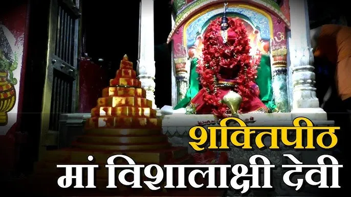 MAA