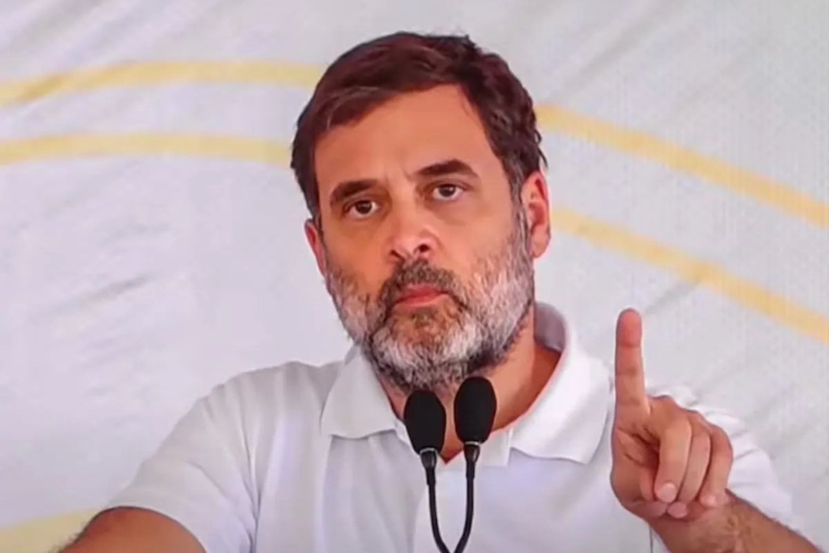 राहुल गांधी की नागरिकता रद्द करने की मांग वाली याचिका पर 6 नवंबर को अगली सुनवाई