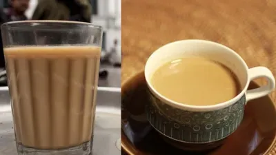tea-file-1729702406