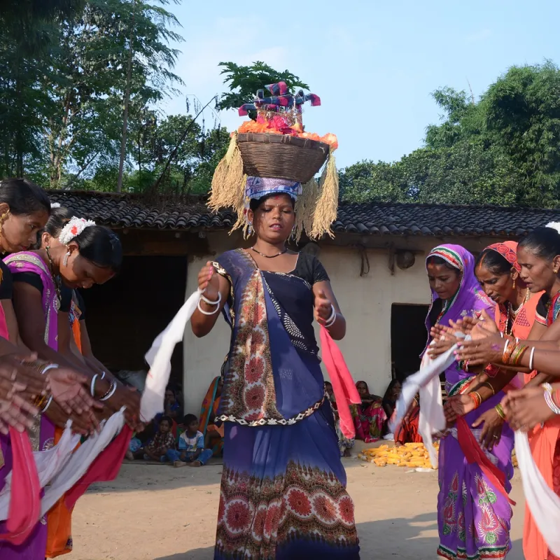 छत्तीसगढ़ के आदिवासी सुआ लोकनृत्य व गीत के साथ शुरू करते है फसलों की कटाई, जानिए इसका महत्व