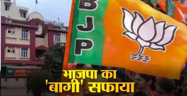 झारखंड चुनाव 2024: भाजपा का बड़ा एक्शन, बागी हुए 30 नेता निष्कासित; 6 साल के लिए पार्टी से बाहर