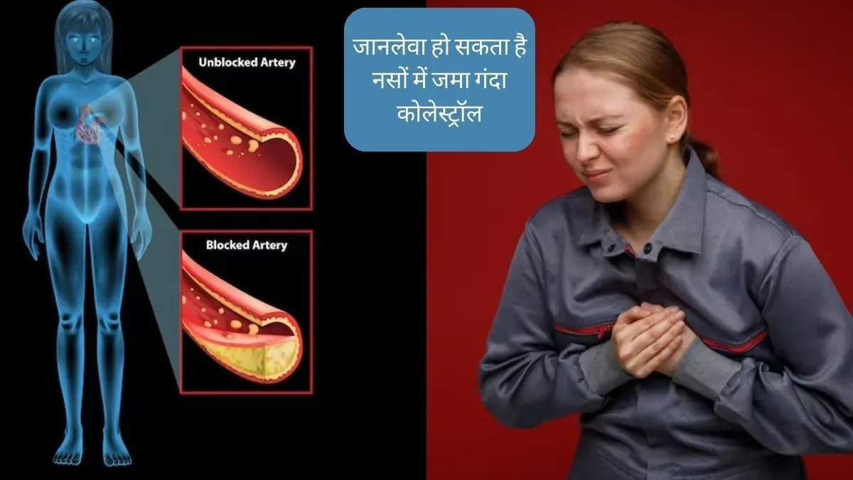 हार्ट अटैक से बचने के लिए रोज खाएं 7 चीजें, तेजी से घटेगा LDL, डाइटीशियन ने बताया
