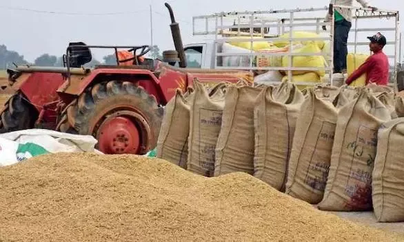 अब तक 5.37 लाख मीट्रिक टन धान की हुई खरीदी, 1.16 लाख से अधिक किसानों ने बेचा धान