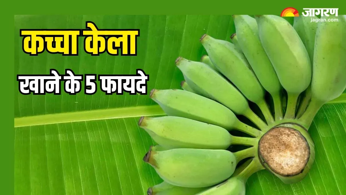 पका हुआ ही नहीं, कच्चा केला भी कर सकता है सेहत को मालामाल, 5 तरीके से पहुंचाता है फायदे