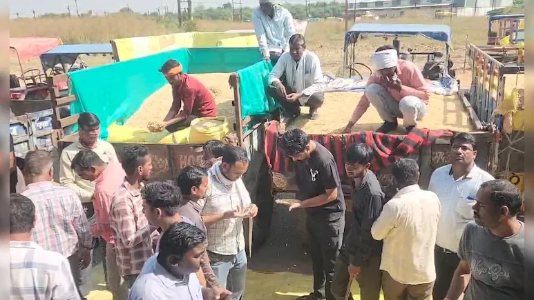 विदिशा में खुल गई मंडी, फसलों की खरीदी और नीलामी शुरू