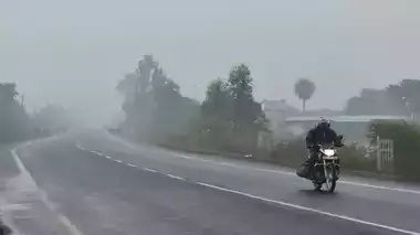 MP : सुबह से कोहरा, दिन का तापमान गिरा, अब बढ़ेगी ठंड