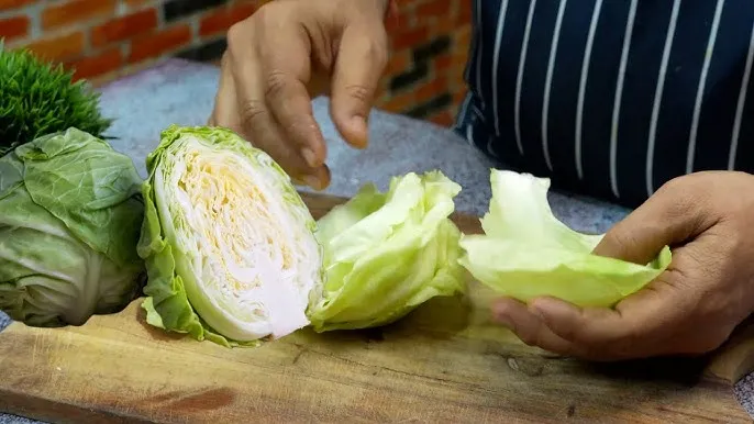 क्या पत्तागोभी खाने से दिमाग में घुस सकता है कीड़ा? क्या है हकीकत, डॉक्टर ने बताई चौंकाने वाली बात