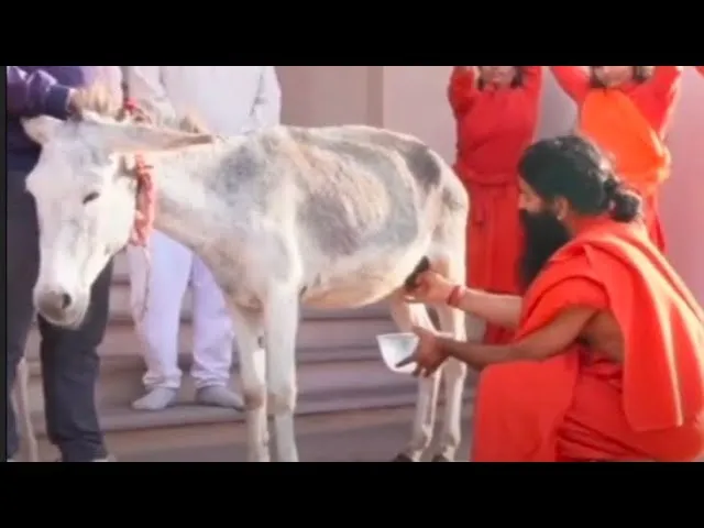 बाबा रामदेव ने जवानी के लि‍ए अपनाया गधी का दूध! क‍ितना पावरफुल है ये Milk, जानें क्‍या कहता है व‍िज्ञान