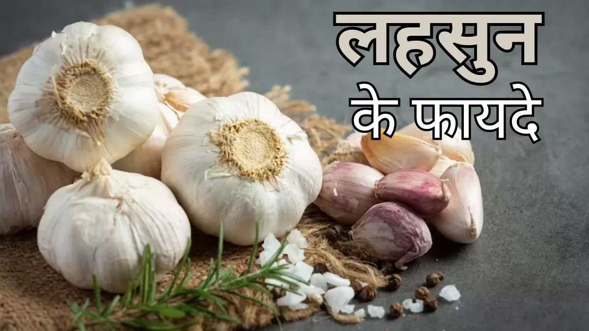 सर्दियों में सुबह खाली पेट कच्चा लहुसन खाना वरदान, शरीर रहेगा हीटर सा गर्म