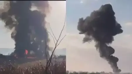 रनवे से फिसला, एयरपोर्ट की दीवार से टकराया... साउथ कोरिया में प्‍लेन क्रैश में हादसे में सभी 181 लोगों की मौत
