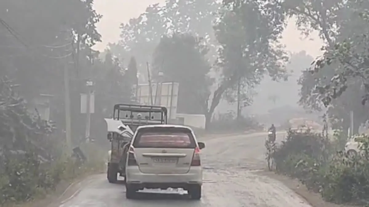 रामानुजगंज में लग्जरी गाड़ी से लकड़ी की तस्करी