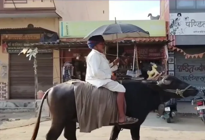 कुत्ते या कबूतर के साथ नहीं, भैंसे के साथ इनकी दोस्ती बनी है मिसाल