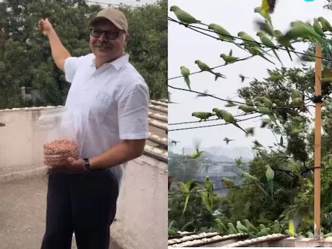 रोज 3000 पक्षियों को खिलाता है ये आदमी, 15 सालों से कर रहा ये काम, 80 फीसदी कमाई जानवरों पर करता है खर्च!
