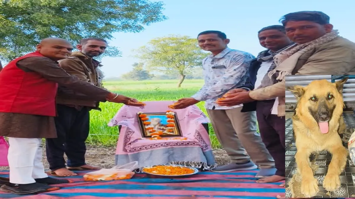 राजगढ़ का अनोखा डॉग लवर: नहीं रहा 'रोमी', तेरहवीं पर शोकसभा, मुंडन और मृत्युभोज