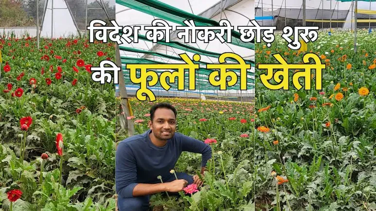 फुलों की खेती करके लाखों का मुनाफा... इतना पैसा तो 'बैंक ऑफ अमेरिका' की नौकरी में भी नहीं मिला