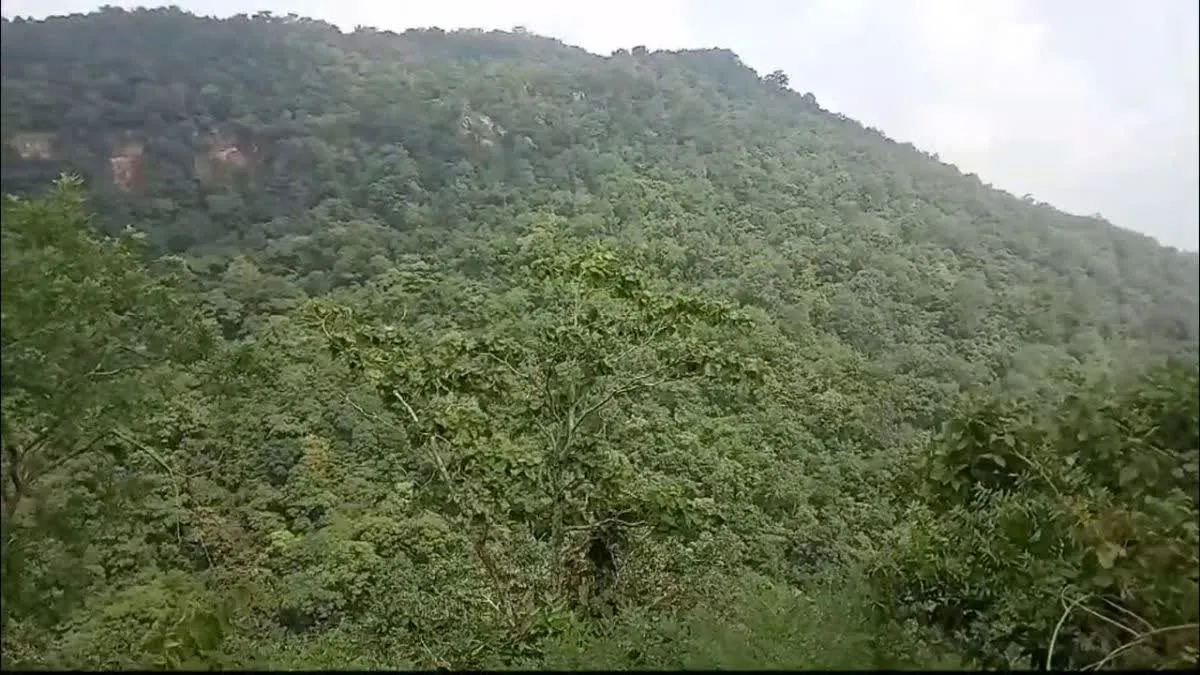 गरियाबंद नक्सल एनकाउंटर: कुल्हाड़ीघाट में मुठभेड़ जारी, अब तक 14 नक्सली ढेर, एक करोड़ का इनामी माओवादी मारा गया 