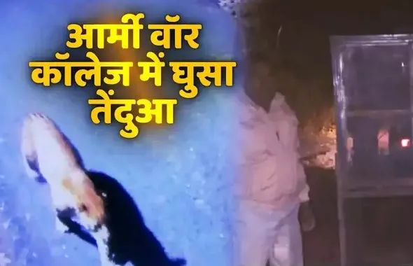 आर्मी वॉर कॉलेज में घुसा तेंदुआ, कैंपस में अलर्ट जारी, पकड़ने में जुटी वन विभाग