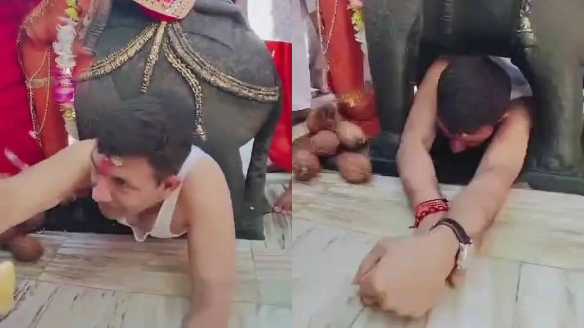 आसान नहीं 3 फुट के हाथी के नीचे से निकलना, पटवारी ने कर दिखाया, शिवराज-मोहन यादव को चैलेंज