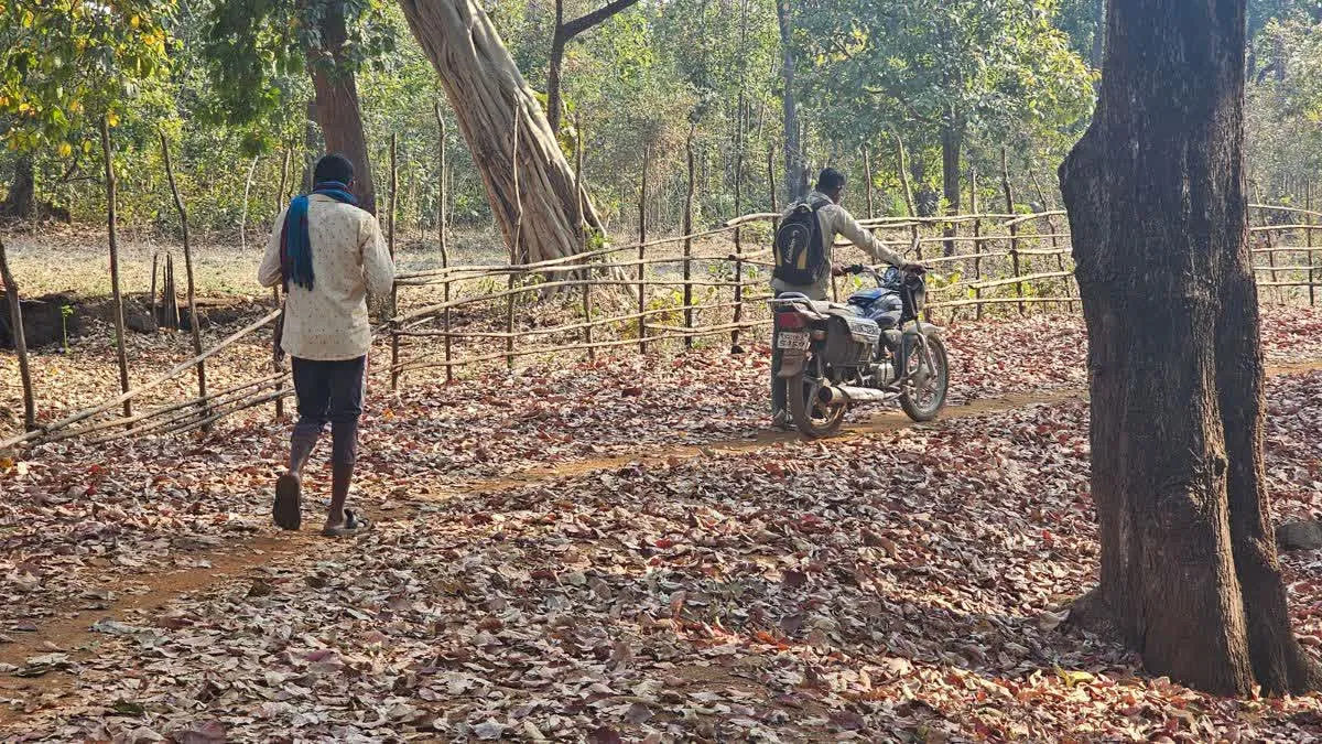 70 किलोमीटर दूर मतदान केंद्र, चुनाव से एक दिन पहले रवाना होते हैं बीजापुर के नक्सल प्रभावित क्षेत्र के वोटर