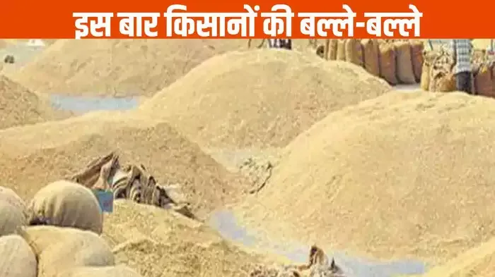  धान खरीदी में यह जिला रहा अव्वल, दंतेवाड़ा रहा सबसे पीछे, जानें किसानों कब मिलेंगे अंतर के 800 रुपये