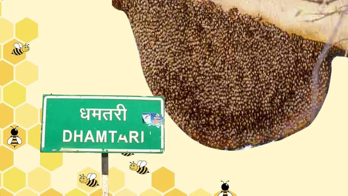 महाशिवरात्रि पूजा में शिवालय पर मधुमक्खियों का हमला, 10 श्रद्धालु घायल, एक गंभीर