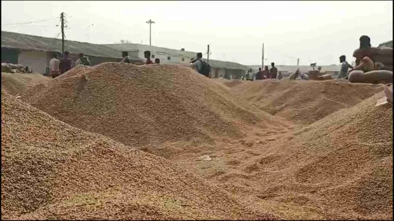 5 करोड़ की धान गायब, 5 सोसायटी के 22 लोगों के खिलाफ FIR