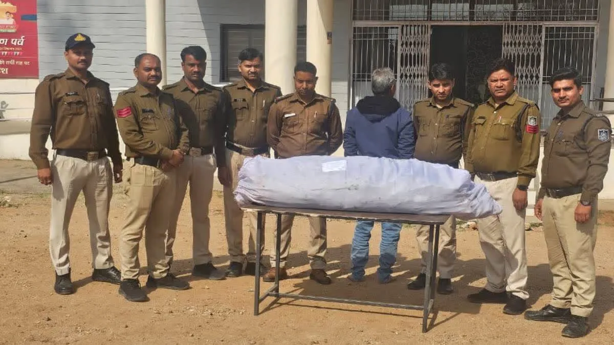 सिंगरौली में पहली बार ड्रोन से पकड़ी अफीम की खेती, अफीम के 450 पौधे जब्त