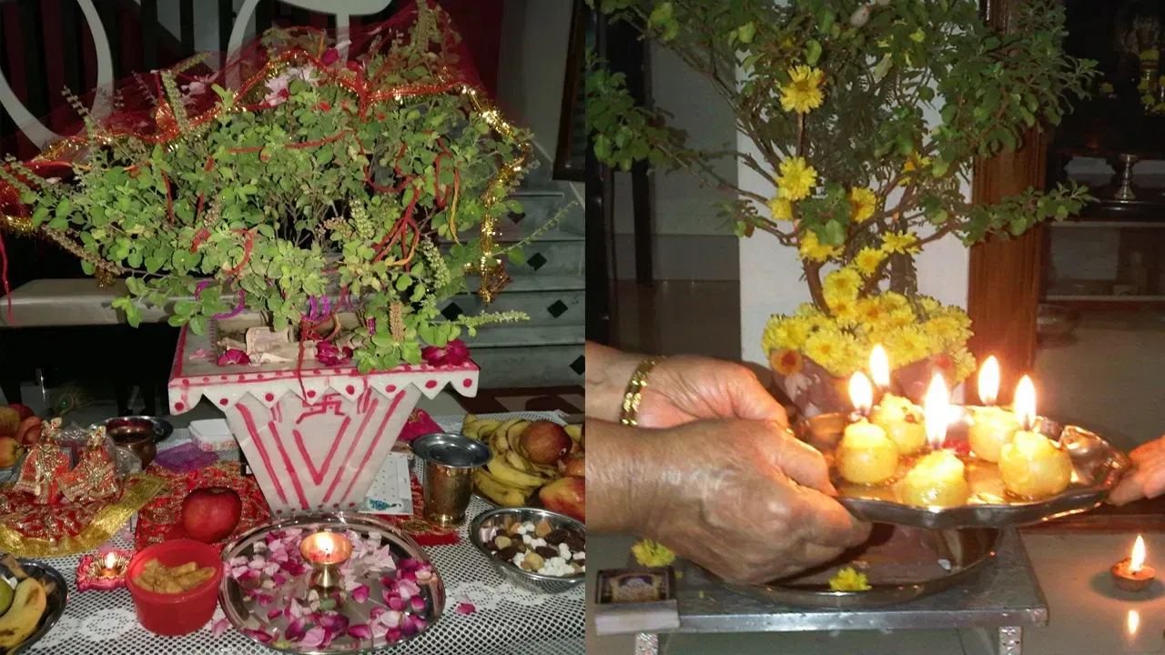 तुलसी के पास भूल से भी न रखें ये 5 चीजें, होने लगती है धन की कमी!