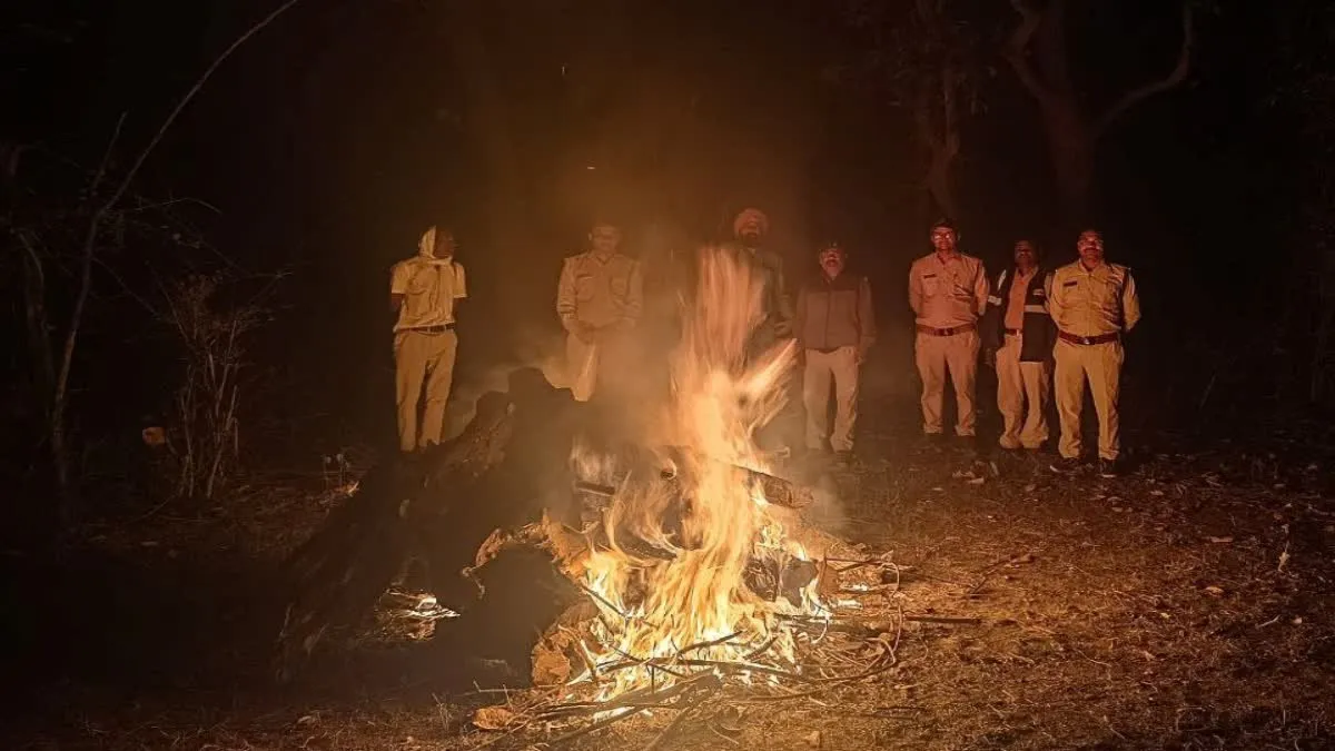 बांधवगढ़ में संदिग्ध अवस्था में मिला तेंदुए का शव, नाखून सहित कई अंग गायब, जांच में जुटी टीम