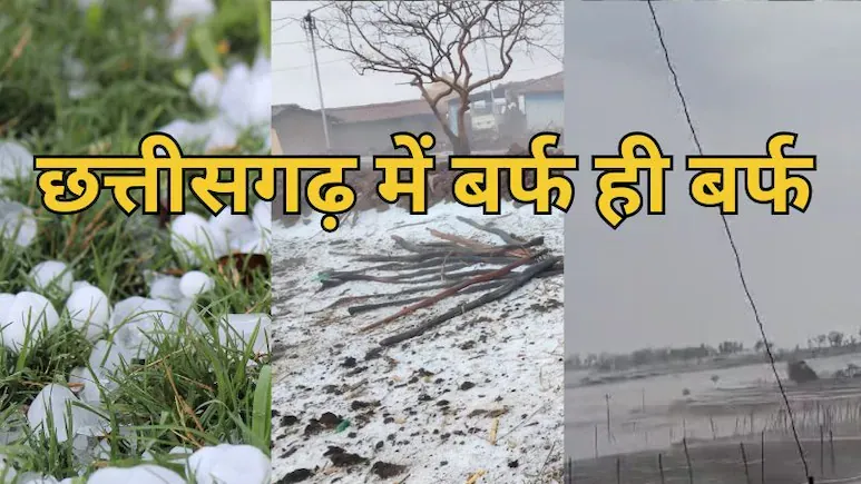 छत्तीसगढ़ में ओलावृष्टि! सरगुजा-बलरामपुर में गिरे ओले, सड़क से खेतों तक बिछी बर्फ की मोटी चादर