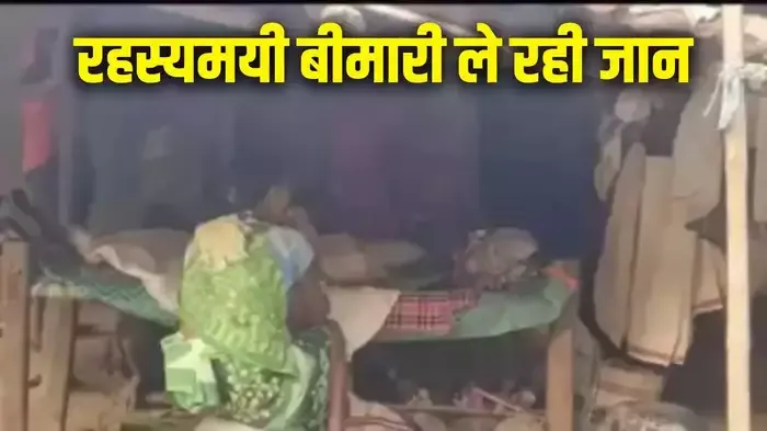 सुकमा के धनिकोरटा में 13 लोगों की रहस्यमयी बीमारी से मौत, स्वास्थ्य टीम ने मौसम में बदलाव को मुख्य कारण बताया