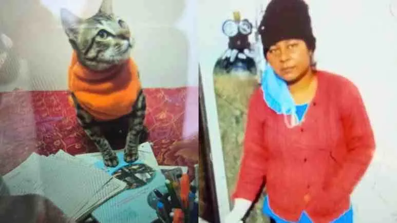 पालतू बिल्ली की मौत का सदमा! 3 दिन तक शव के साथ घर में रही, फिर खुद लगा ली फांसी