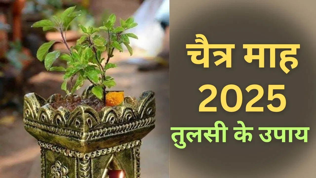 चैत्र माह में करें तुलसी के ये अचूक उपाय, खुशियों और धन से भर जाएगा घर!