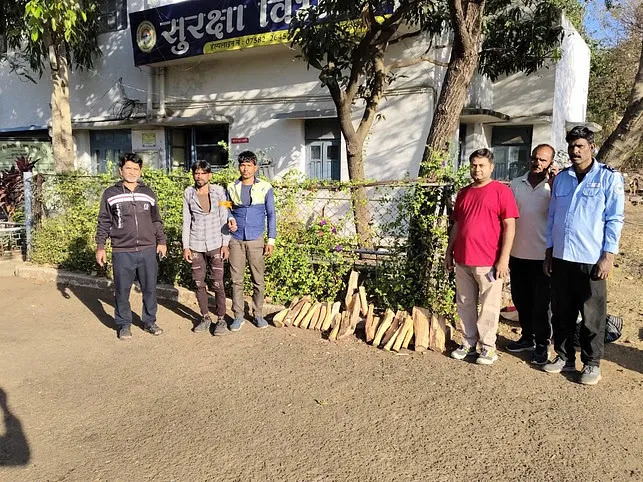 कोसों दूर से आकर चंदन का पेड़ काटते पकड़े गए चोर, मामला एक विश्वविद्यालय के जंगल का है
