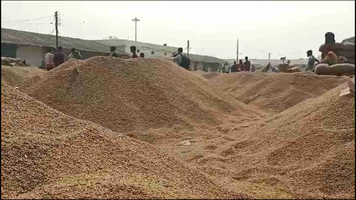 EOW का बड़ा एक्शन, 38 समितियों के 145 लोगों पर FIR