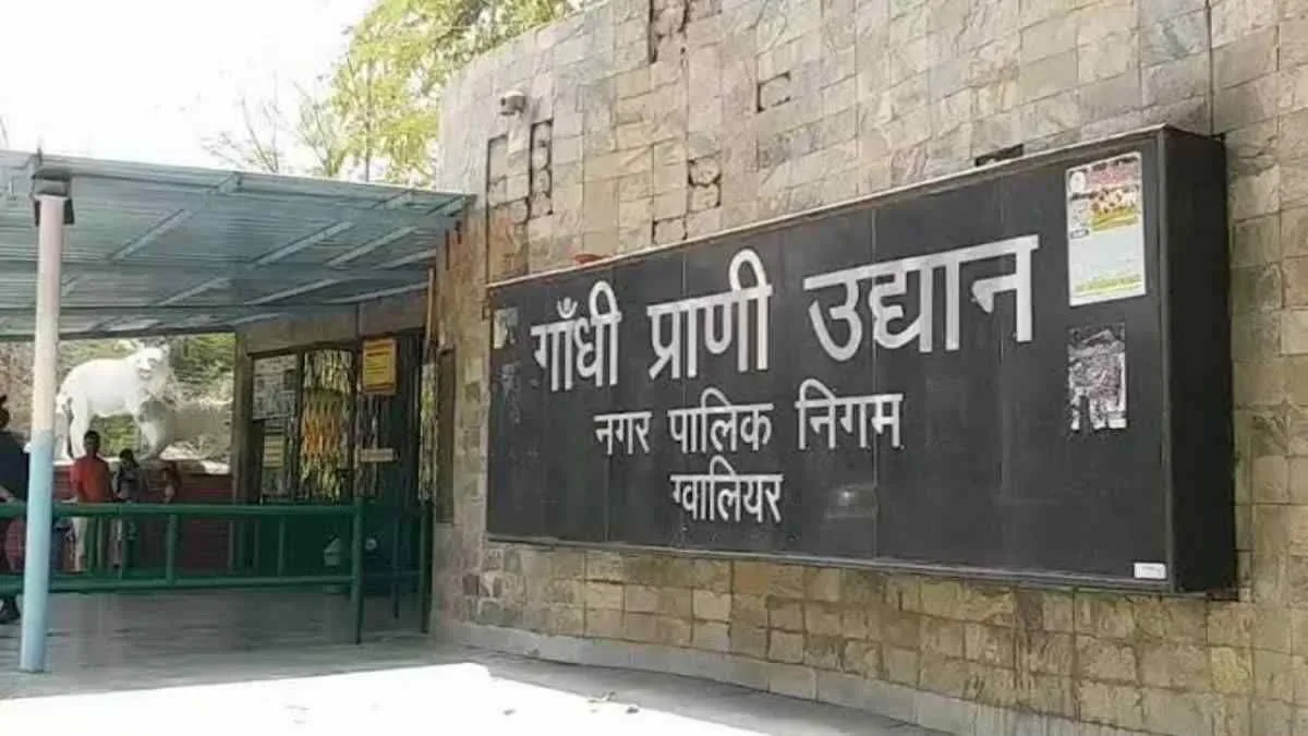 गांधी प्राणी उद्यान में 6 माह के शावक की मृत्यु, सांस लेने में हो रही थी दिक्कत