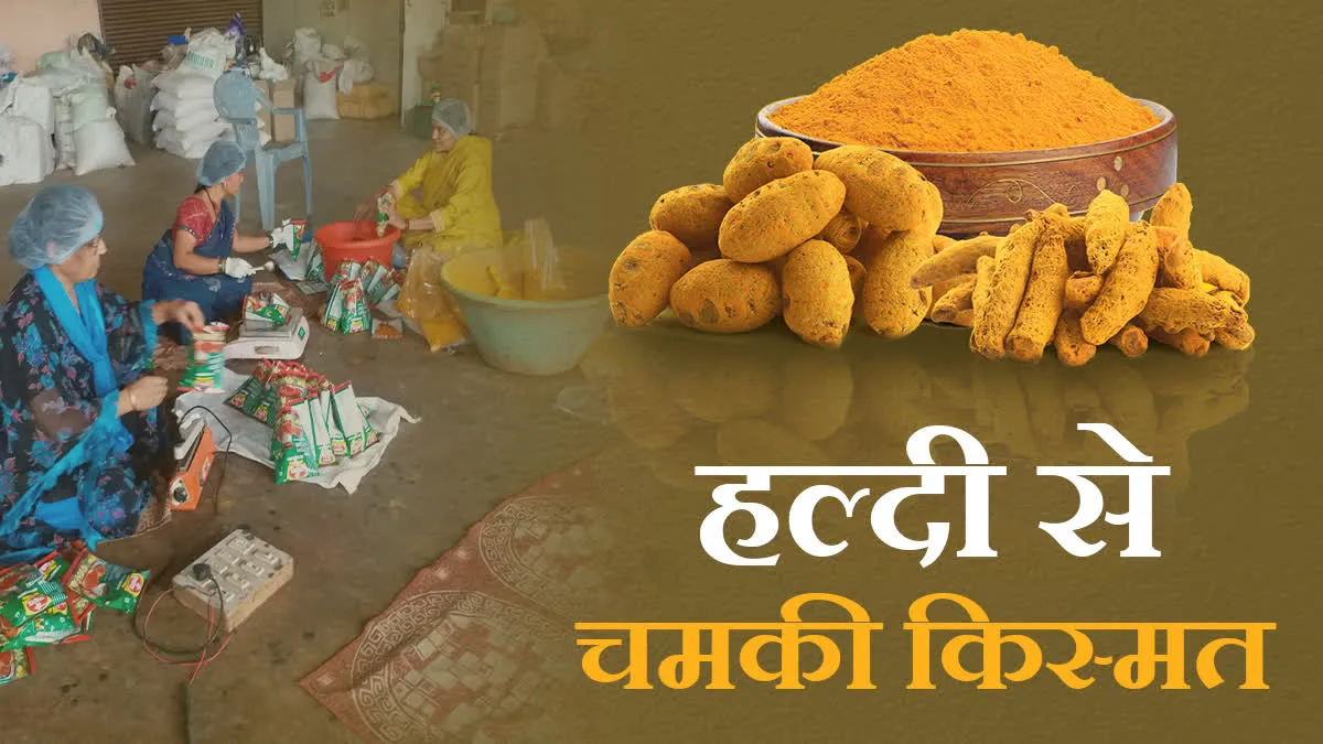 बुरहानपुर के संदीप के लिए हल्दी बनी सोना, प्रोसेसिंग यूनिट लगा हुए मालामाल