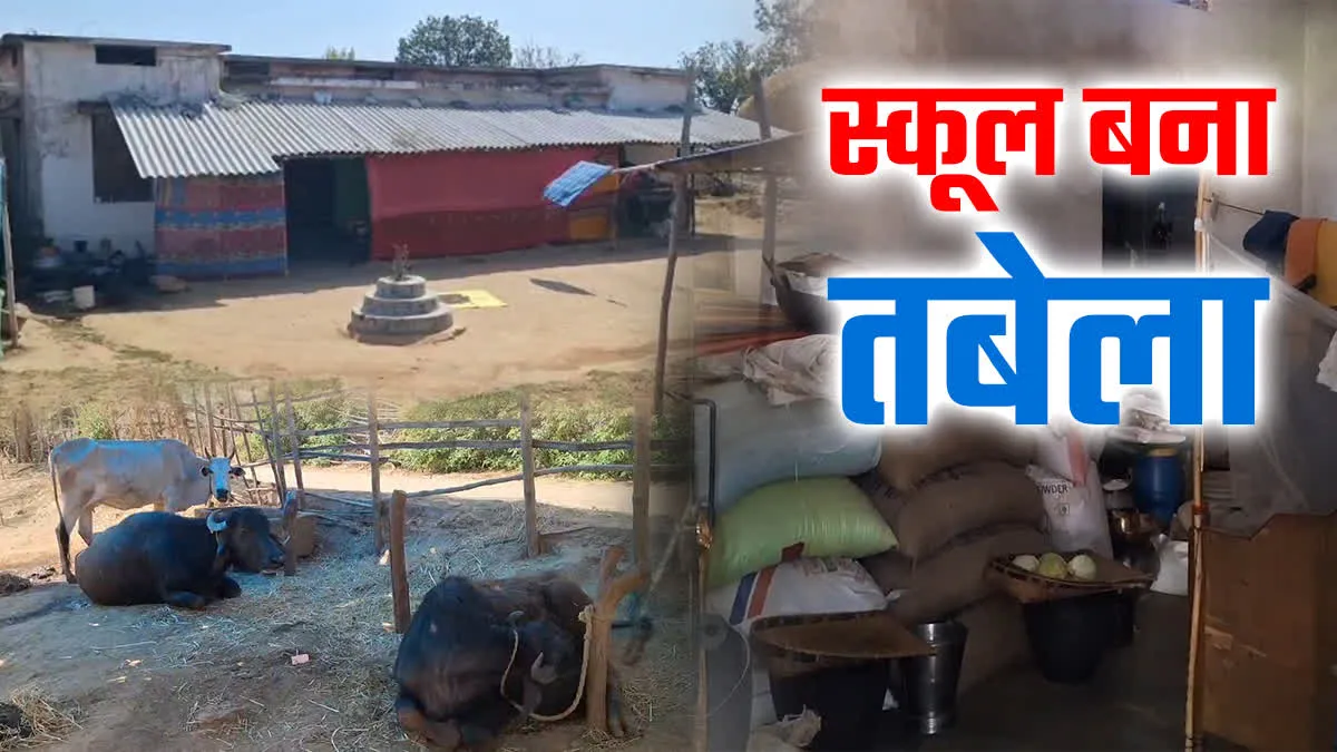 स्कूल बना तबेला, परिवार ने किया भवन पर कब्जा, अधर में लटका बच्चों का भविष्य