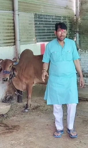 पशुपालन मंत्री ने गौमाता को चन्दन का तिलक लगाकर मनाई होली 