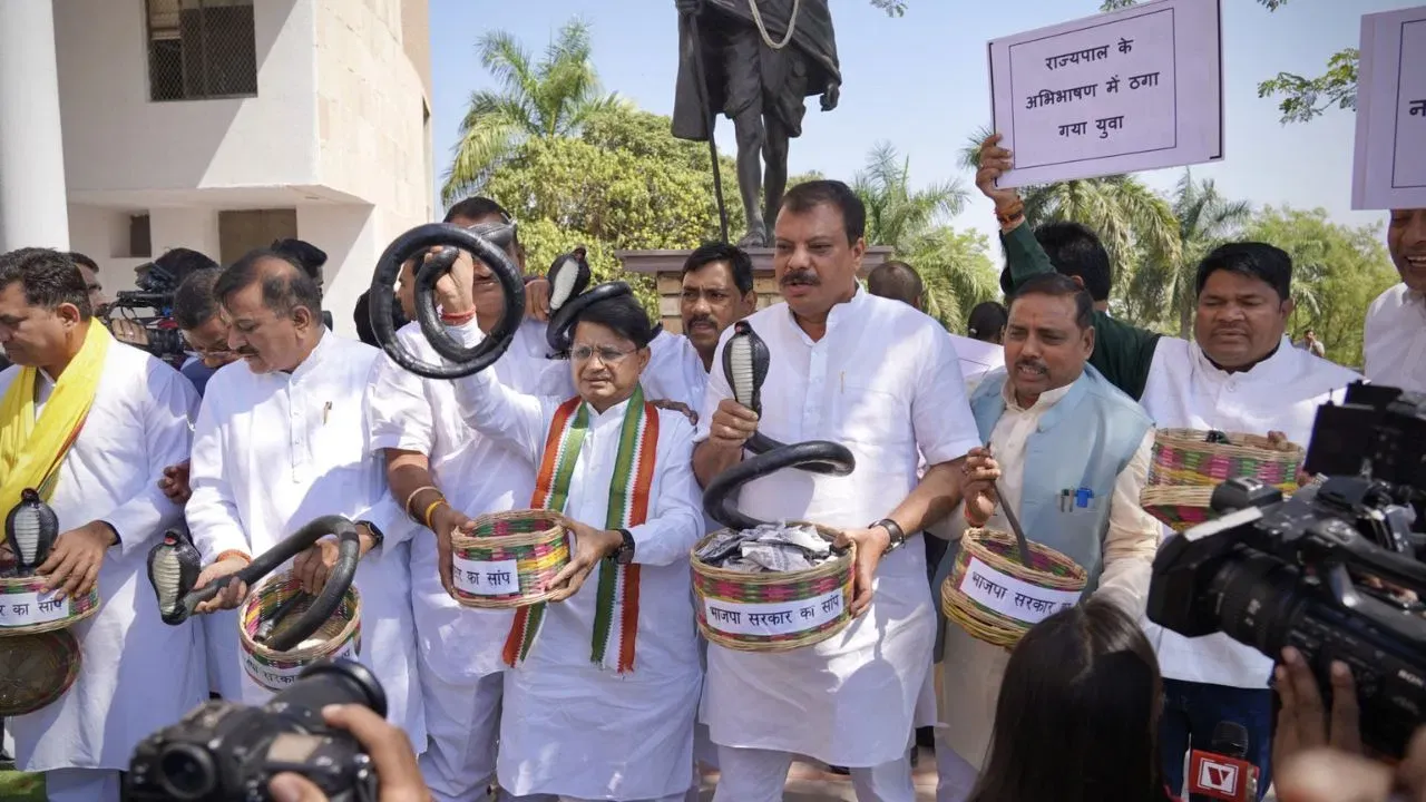 विधानसभा में ‘सांप’ लेकर क्यों पहुंचे कांग्रेस विधायक? BJP बोली- ये आपस में एक-दूसरे को डस रहे
