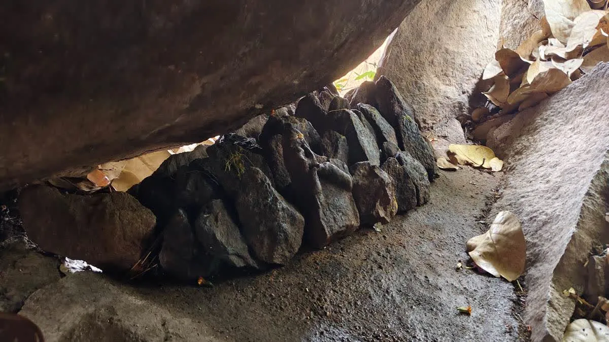 आसान नहीं मां सिंहवाहिनी के दर्शन, माता खुद लेती हैं भक्तों की परीक्षा