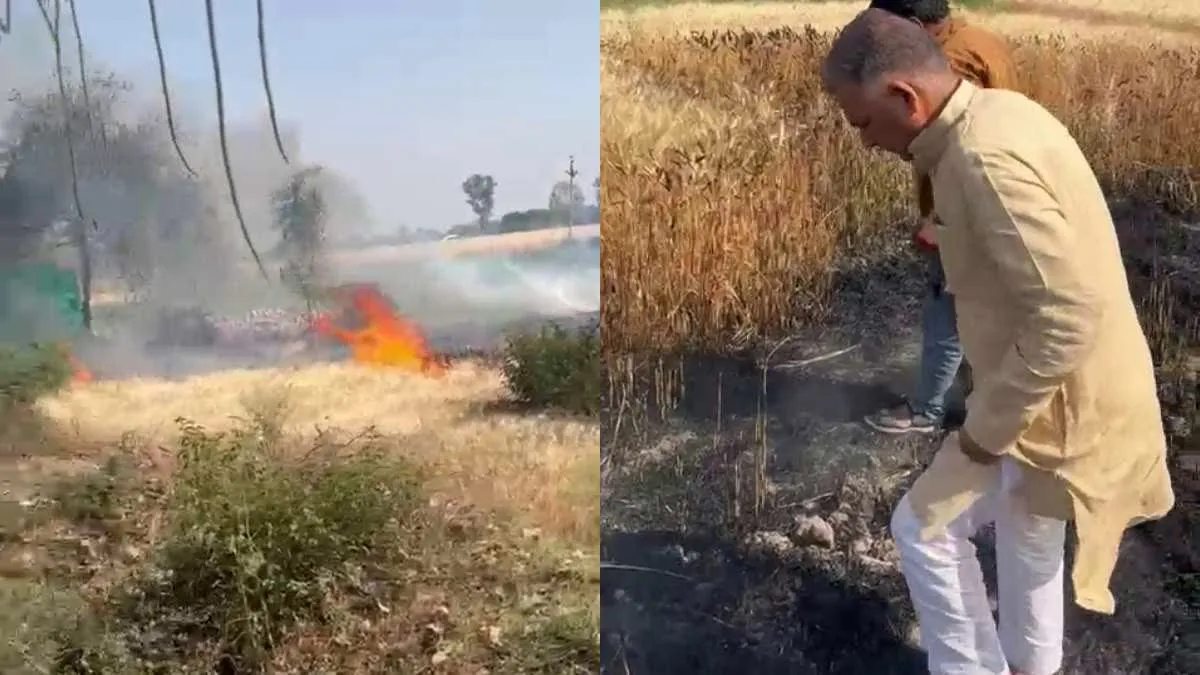 मंत्रीजी ने रुकवाया काफिला और गेहूं के खेत में लगा दी दौड़, झट से दी फायर ब्रिगेड को सूचना 