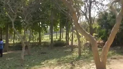 दिल्ली: डियर पार्क में पेड़ से लटकता मिला किशोर और किशोरी का शव, सुसाइड की आशंका