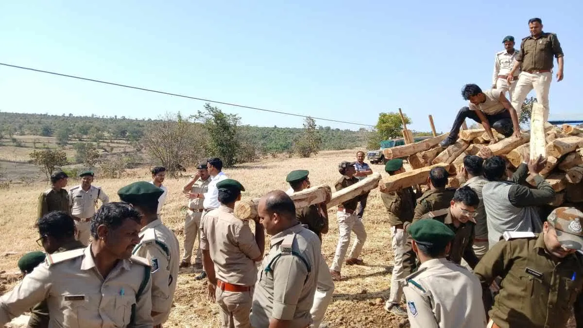 विदिशा में फिल्म पुष्पा जैसी कार्रवाई, 300 वनकर्मियों का बड़ा एक्शन
