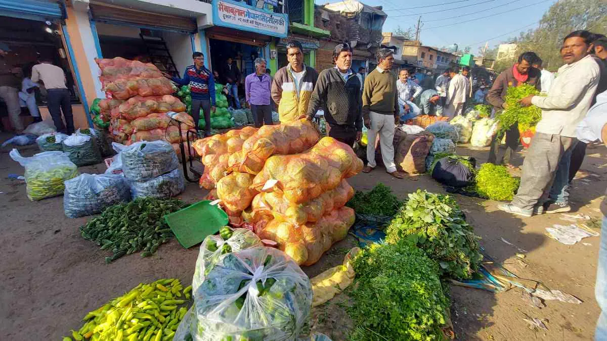 विदिशा मंडी में मची हलचल, औने-पौने दाम में बिक रही हरी सब्जियां