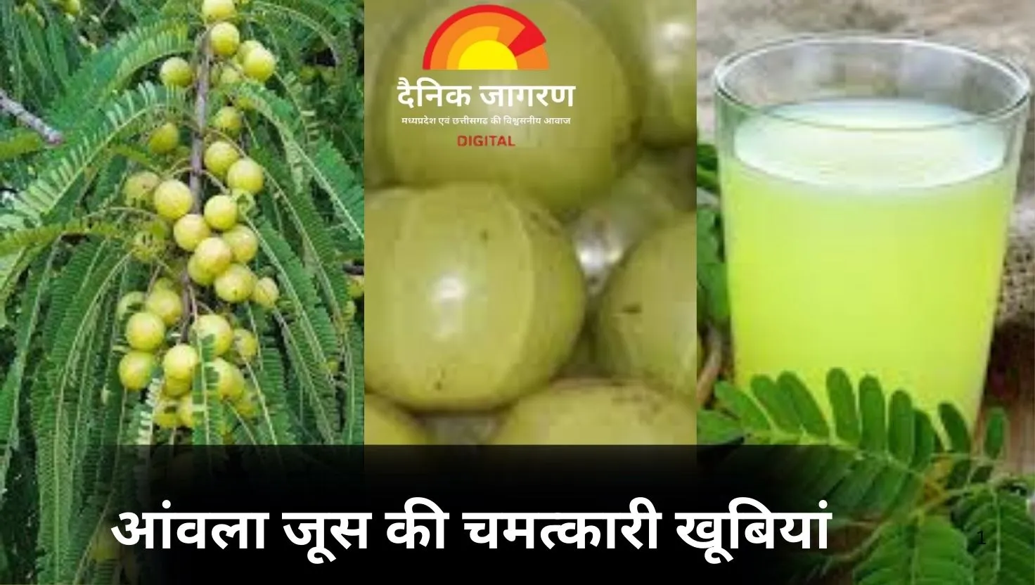  आंवला जूस की चमत्कारी खूबियां: पाचन सुधारे, मोटापा घटाए और गर्मी से बचाए