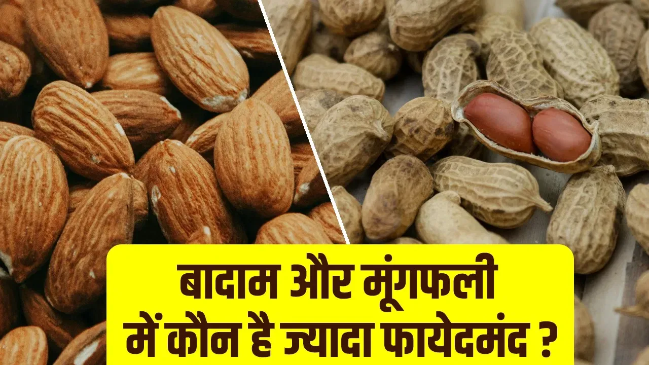 बादाम या मूंगफली, सेहत के लिए दोनों में से कौन है ज्यादा फायदेमंद? जानें
